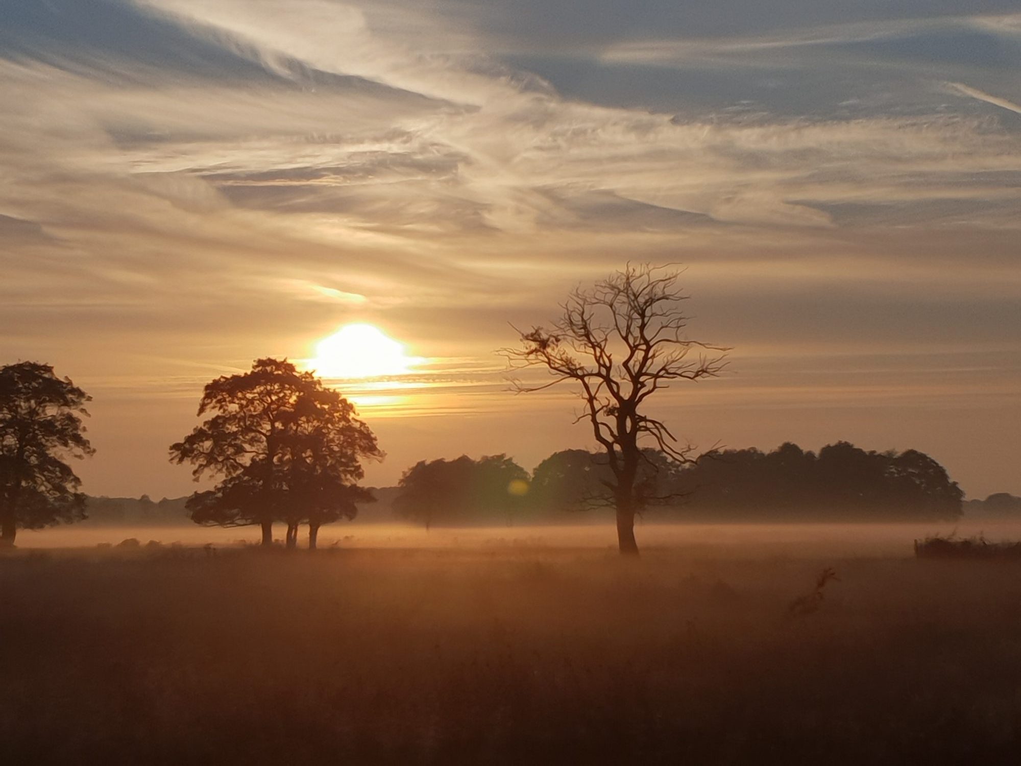 Natuurbeheerwerkgroep