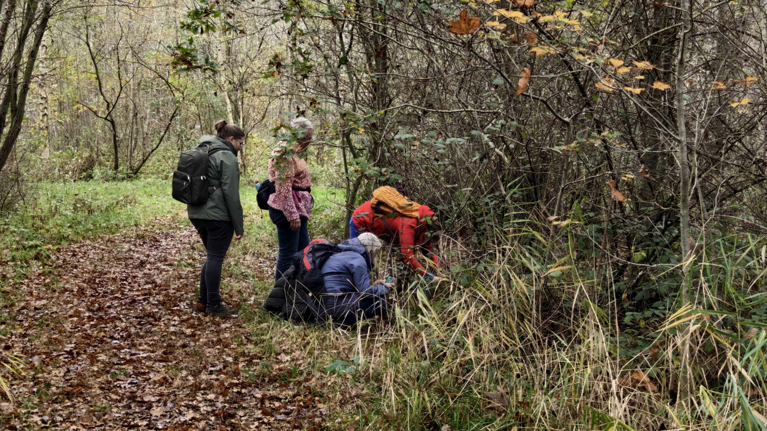 Paddenstoelen werkgroep