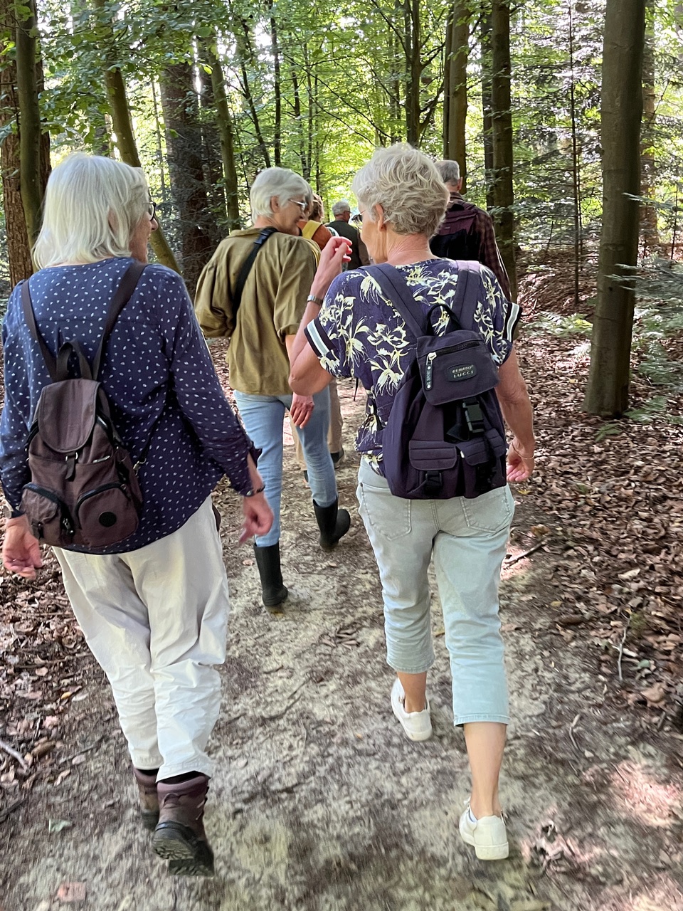Succesvolle eerste Zondagochtendwandeling Asserbos